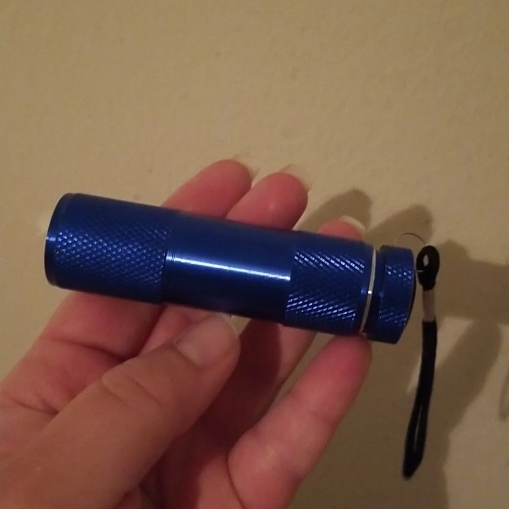 Blacklight flashlight